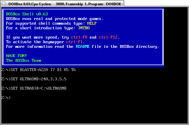 dosbox1